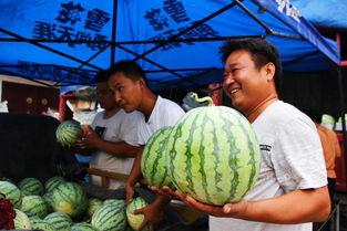 网红吃1000多的瓜,品味奢华美食之旅  第3张